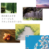 sawada itto：サワダイット-こねり-