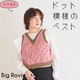 9/10　Big Rovie Dot Vest