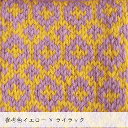 sawada itto：サワダイット-Amotto-ミトンキット