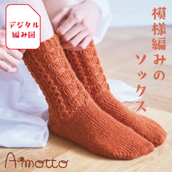 sawada itto：サワダイット-デジタル編み図2211tk-3-模様編みソックス