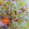 sawada itto：サワダイット-petal-ガーデンショール