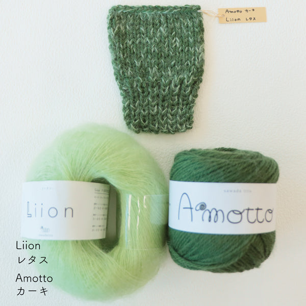 sawada itto：サワダイット-Amotto×Liion-ハイネックボレロ