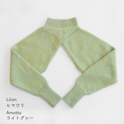 sawada itto：サワダイット-Amotto×Liion-ハイネックボレロ