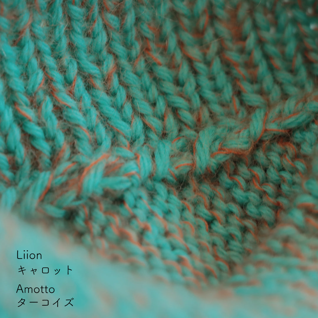 Amotto-アモット- ターコイズ<br>新色・Liion-リーオン- キャロット 棒針編みの編み地