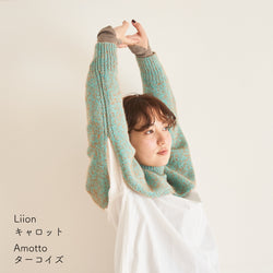 sawada itto：サワダイット-Amotto×Liion-ハイネックボレロ