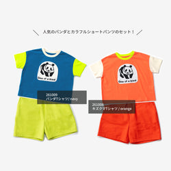 ami amie : 【期間限定】トップス＆カラフルショートパンツセット / 261031