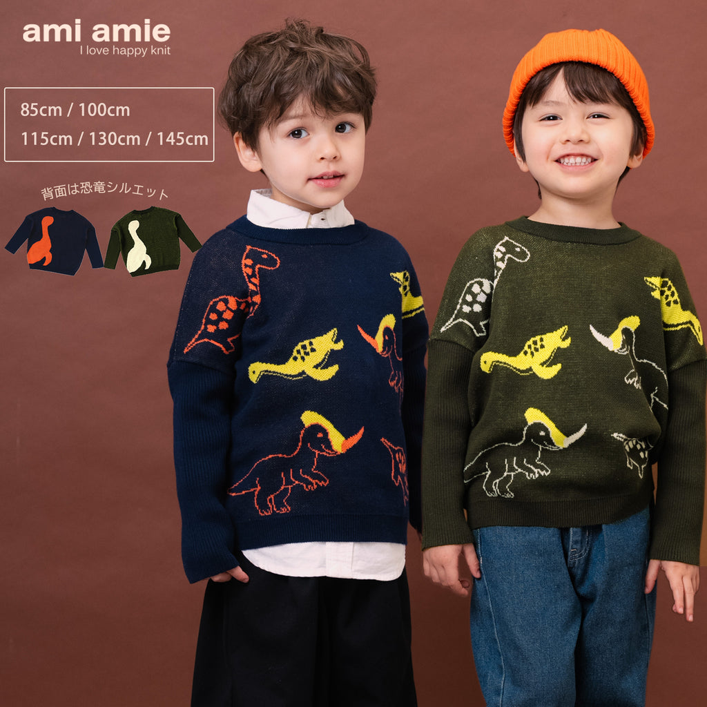ami amie : なかよし恐竜プルオーバー/263013