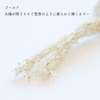 sawada itto：サワダイット-firn-