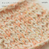 sawada itto：サワダイット-Liion-