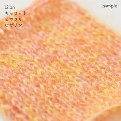 sawada itto：サワダイット-Liion-かのこ編みリボン