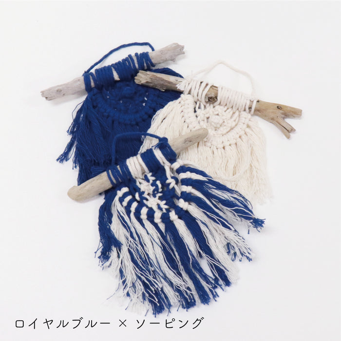ロイヤルブルー×ソーピング