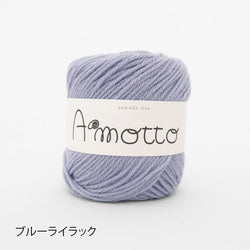 sawada itto：サワダイット-Amotto-ミトンキット