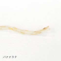 sawada itto：サワダイット-キャンディ-ワッフルポーチ
