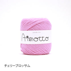 sawada itto：サワダイット-Amotto-ミトンキット