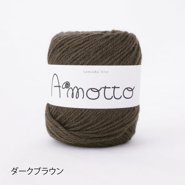 sawada itto：サワダイット-Amotto-ミトンキット