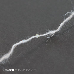 sawada itto：サワダイット-プラスイット+itto-ハナハナ