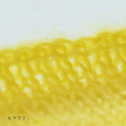 sawada itto：サワダイット-Liion-かのこ編みリボン
