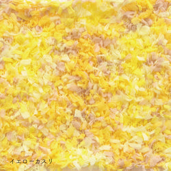 sawada itto：サワダイット-petal-ガーデンショール