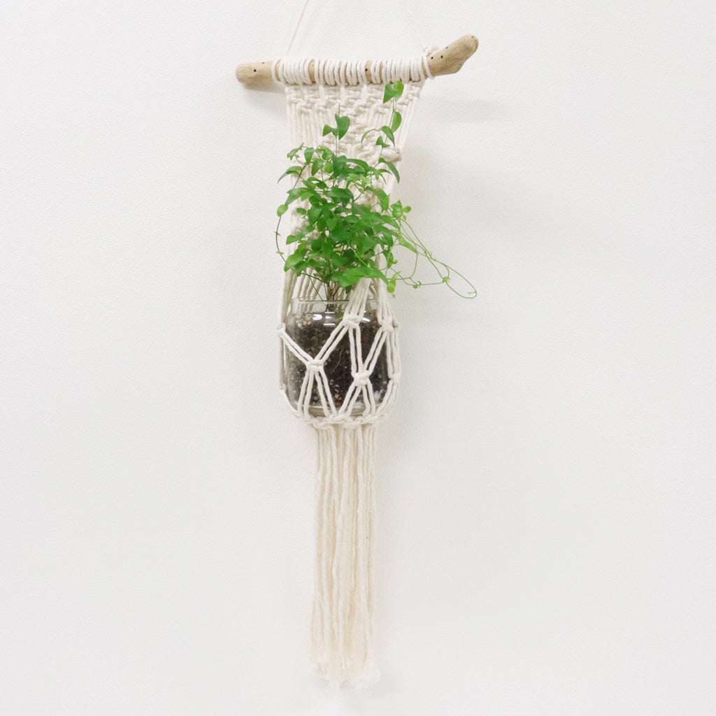 sawada itto：サワダイット-Natural Cotton 20P-ハンギングキット