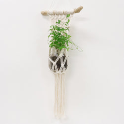 sawada itto：サワダイット-Natural Cotton 20P-ハンギングキット