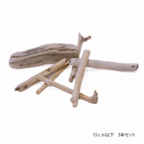 sawada itto：サワダイット-ittoの流木-
