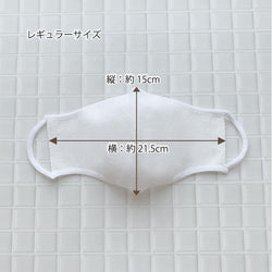 接触冷感和紙マスク(レギュラー/スモール)(大人)/mask_tama_05